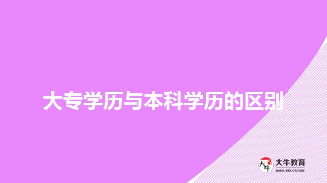 大專學(xué)歷與本科學(xué)歷的區(qū)別