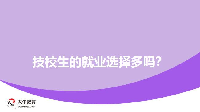 技校生的就業(yè)選擇多嗎？