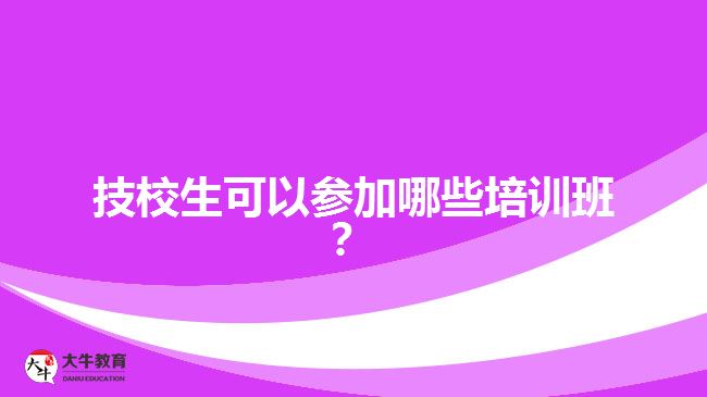 技校生可以參加哪些培訓(xùn)班？