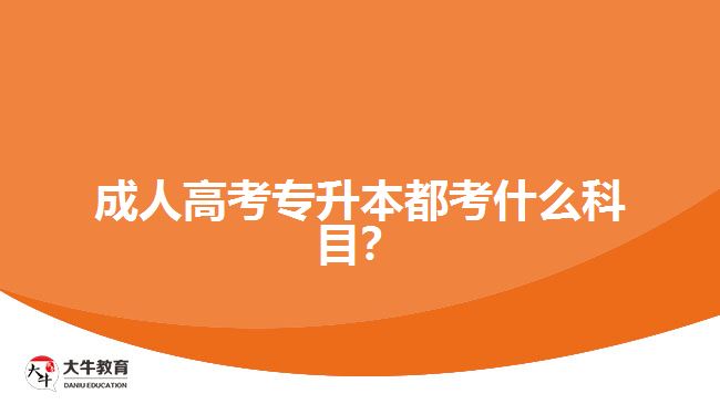 成人高考專升本都考什么科目？