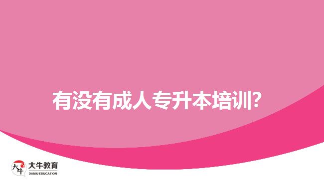 有沒(méi)有成人專升本培訓(xùn)？