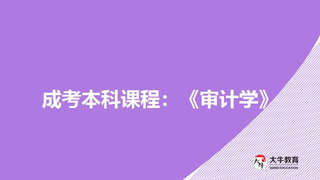 成考本科課程：《審計學(xué)》