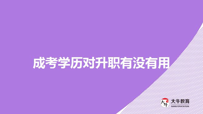 成考學(xué)歷對(duì)升職有用