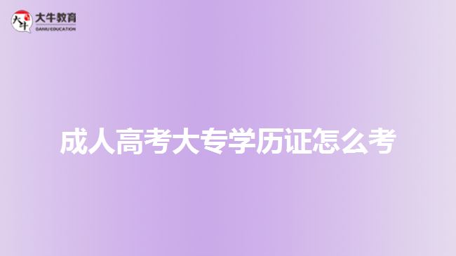 成人高考大專學歷證怎么考