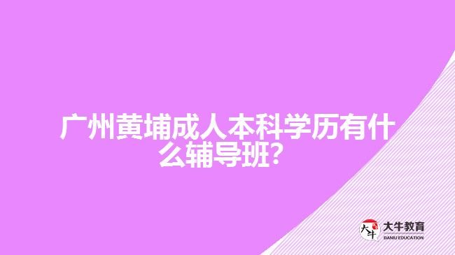 廣州黃埔成人本科學(xué)歷有什么輔導(dǎo)班？