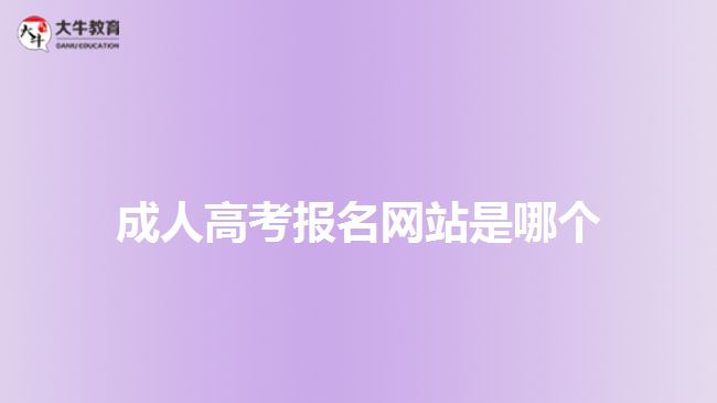 成人高考報(bào)名網(wǎng)站是哪個(gè)