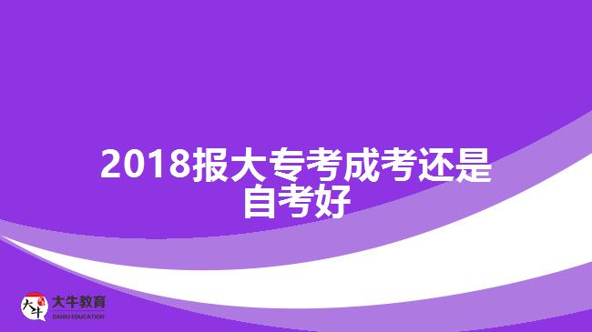 2018報(bào)大專考成考還是自考好