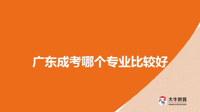 廣東成考哪個(gè)專業(yè)比較好