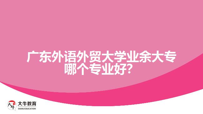 廣東外語外貿(mào)大學業(yè)余大專哪個專業(yè)好？