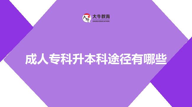 成人專(zhuān)科升本科途徑有哪些