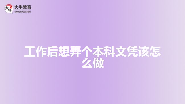 工作后想弄個本科文憑該怎么做