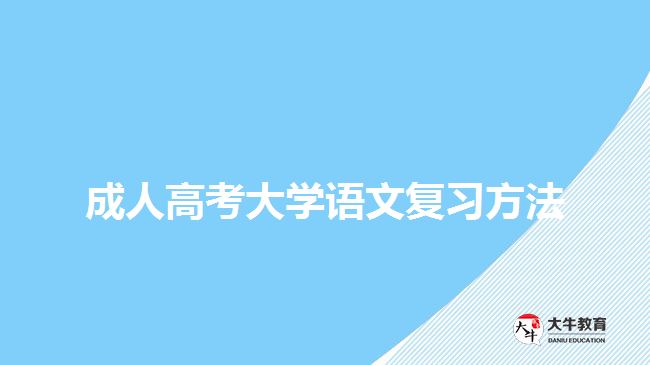 成人高考大學(xué)語文復(fù)習(xí)方法