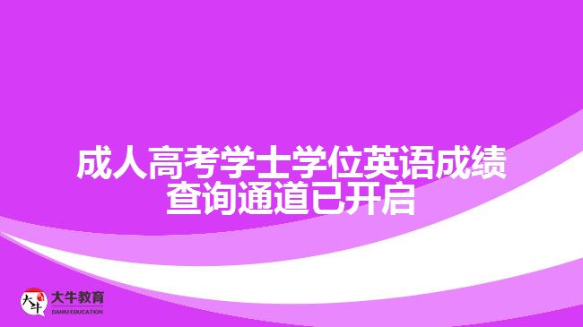 成人高考學(xué)士學(xué)位英語成績查詢通道已開啟