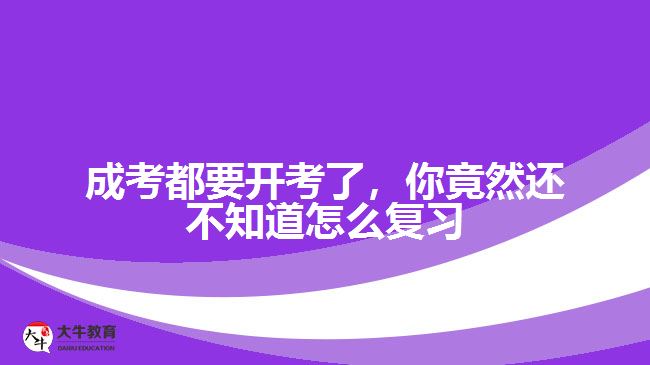 成考都要開考了，你竟然還不知道怎么復(fù)習(xí)