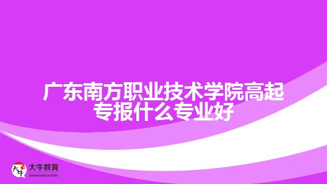 廣東南方職業(yè)技術(shù)學院高起專報什么專業(yè)好