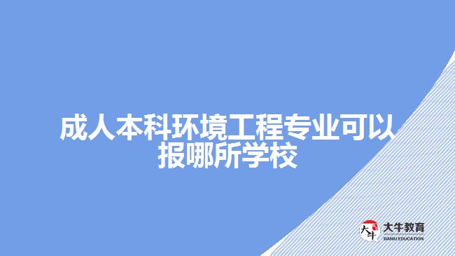 成人本科環(huán)境工程專業(yè)可以報哪所學(xué)校