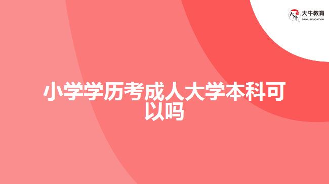 小學(xué)學(xué)歷考成人大學(xué)本科可以嗎