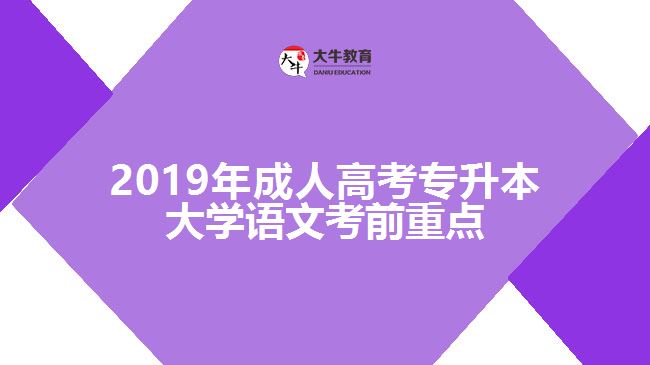 2019年成人高考專升本大學(xué)語(yǔ)文考前重點(diǎn)