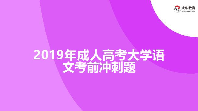 2019年成人高考大學(xué)語文考前沖刺題