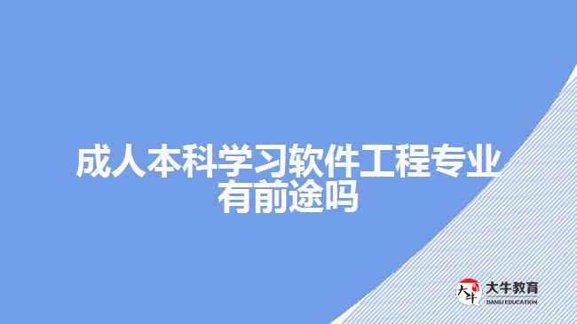 成人本科學(xué)習(xí)軟件工程專業(yè)有前途嗎