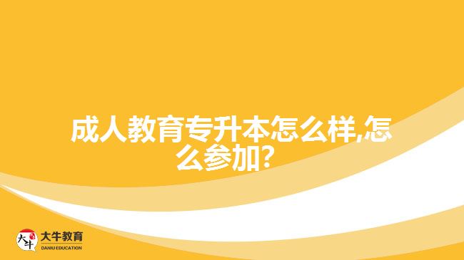 成人教育專升本怎么樣,怎么參加？