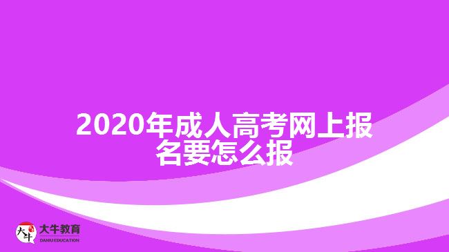 ，2020年成人高考網(wǎng)上報名要怎么報