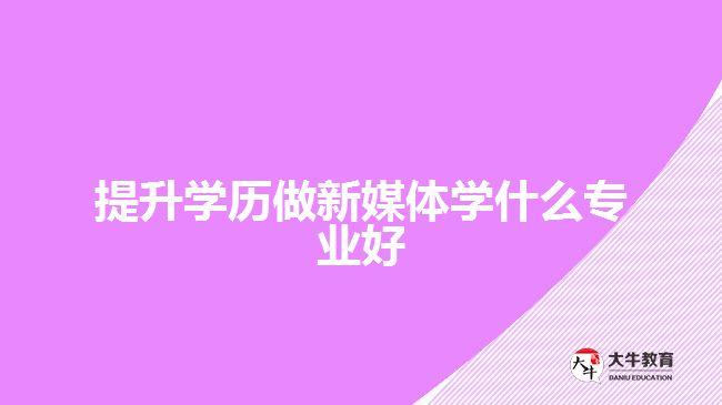 提升學(xué)歷做新媒體學(xué)什么專(zhuān)業(yè)好