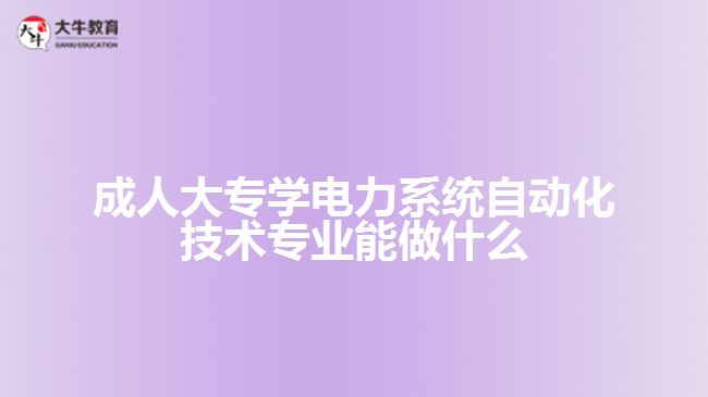 成人大專學(xué)電力系統(tǒng)自動(dòng)化技術(shù)專業(yè)能做什么