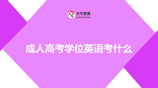 成人高考學(xué)位英語(yǔ)考什么