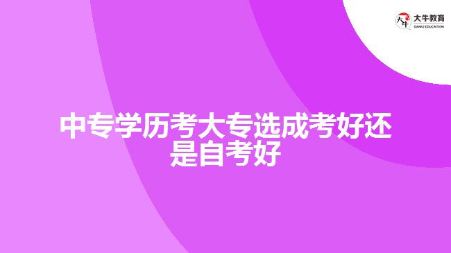 中專學(xué)歷考大專選成考好還是自考好