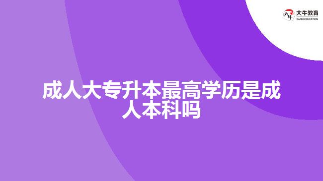 成人大專升本最高學(xué)歷是成人本科嗎