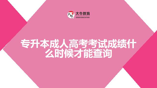 專升本成人高考考試成績什么時候才能查詢