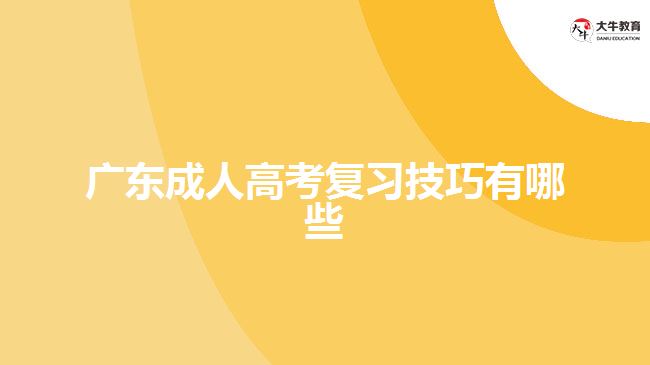 廣東成人高考復(fù)習(xí)技巧有哪些