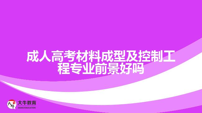 成人高考材料成型及控制工程專業(yè)前景好嗎