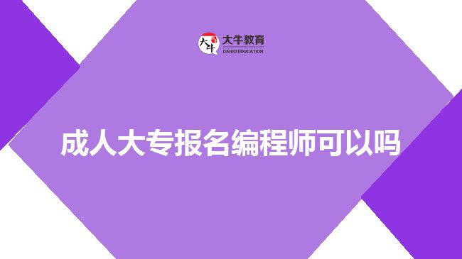 成人大專報(bào)名編程師可以嗎