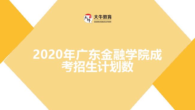 2020年廣東金融學院成考招生計劃數(shù)