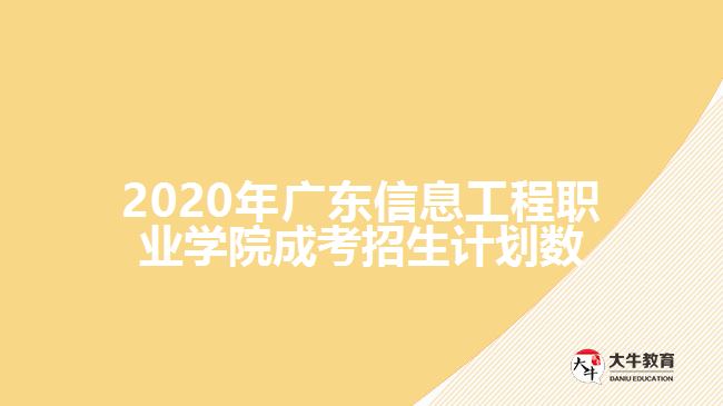 2020年廣東信息工程職業(yè)學(xué)院成考招生計劃數(shù)