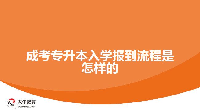 成考專升本入學(xué)報(bào)到流程是怎樣的