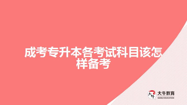 成考專(zhuān)升本各考試科目該怎樣備考