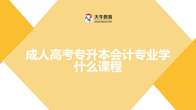 成人高考專升本會(huì)計(jì)專業(yè)學(xué)什么課程