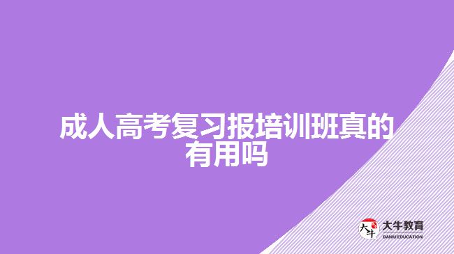 成人高考復(fù)習(xí)報(bào)培訓(xùn)班真的有用嗎