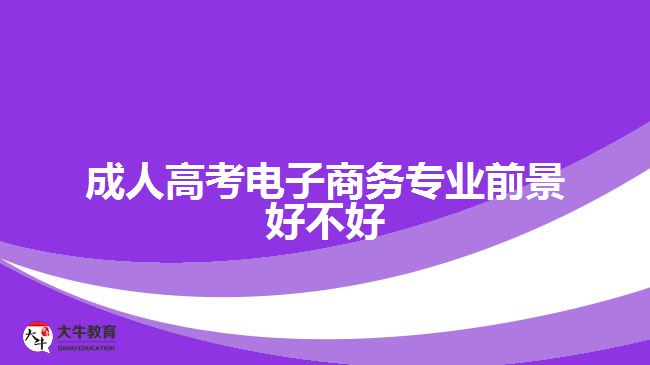 成人高考電子商務專業(yè)前景好不好