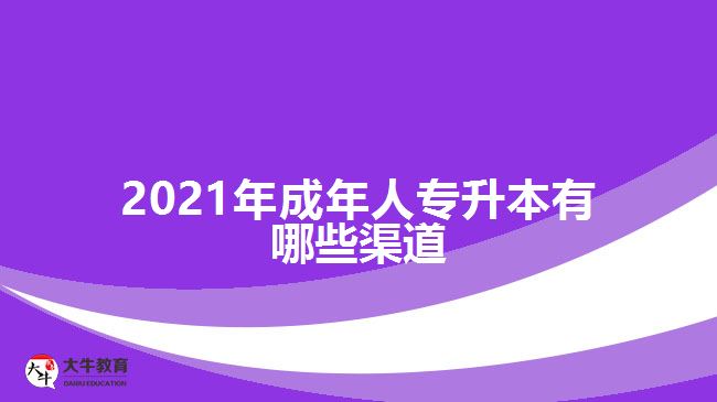 2021年成年人專(zhuān)升本有哪些渠道