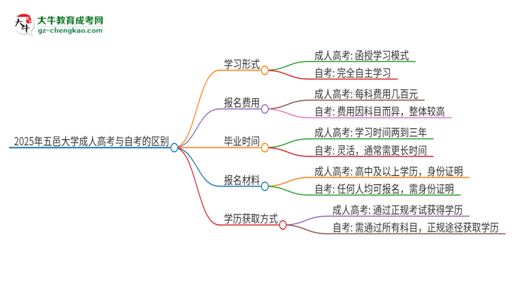 2025年五邑大學成人高考和自考有什么不一樣思維導圖