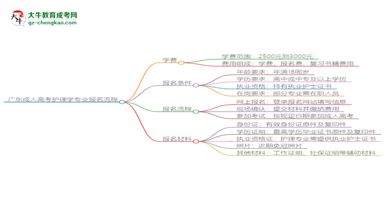 廣東成人高考護理學(xué)專業(yè)2025年報名流程思維導(dǎo)圖