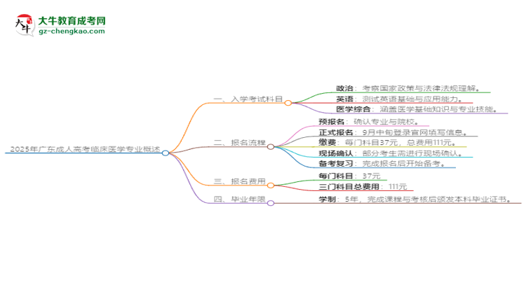 2025年廣東成人高考臨床醫(yī)學(xué)專業(yè)入學(xué)考試科目有哪些？思維導(dǎo)圖