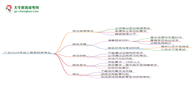 廣東2025年成人高考藥學(xué)專業(yè)生可不可以考四六級(jí)？思維導(dǎo)圖