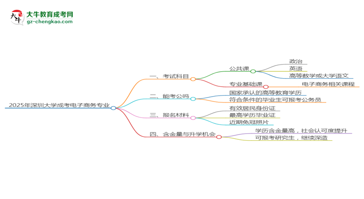 2025年深圳大學(xué)成考電子商務(wù)專業(yè)入學(xué)考試科目有哪些？思維導(dǎo)圖