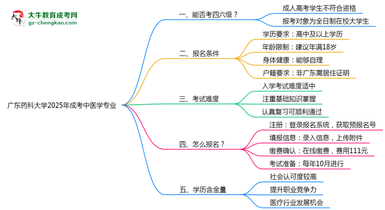 廣東藥科大學(xué)2025年成考中醫(yī)學(xué)專業(yè)生可不可以考四六級(jí)？思維導(dǎo)圖