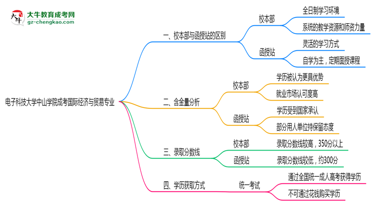 電子科技大學中山學院2025年成考國際經(jīng)濟與貿(mào)易專業(yè)校本部和函授站哪個更好？思維導圖